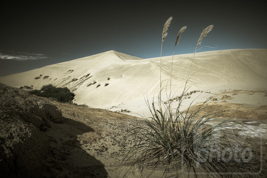 Neuseeland 2018/19 | Giant Sand Dunes, Cape Reinga, New Zealand - Realisiert mit Pictrs.com