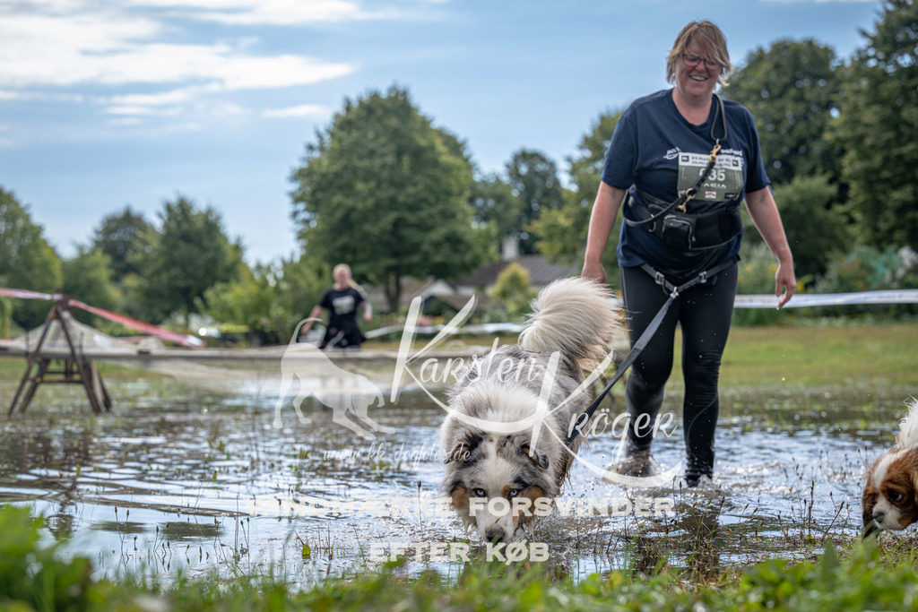 1319_ZZ90821 | kk-dogfotos