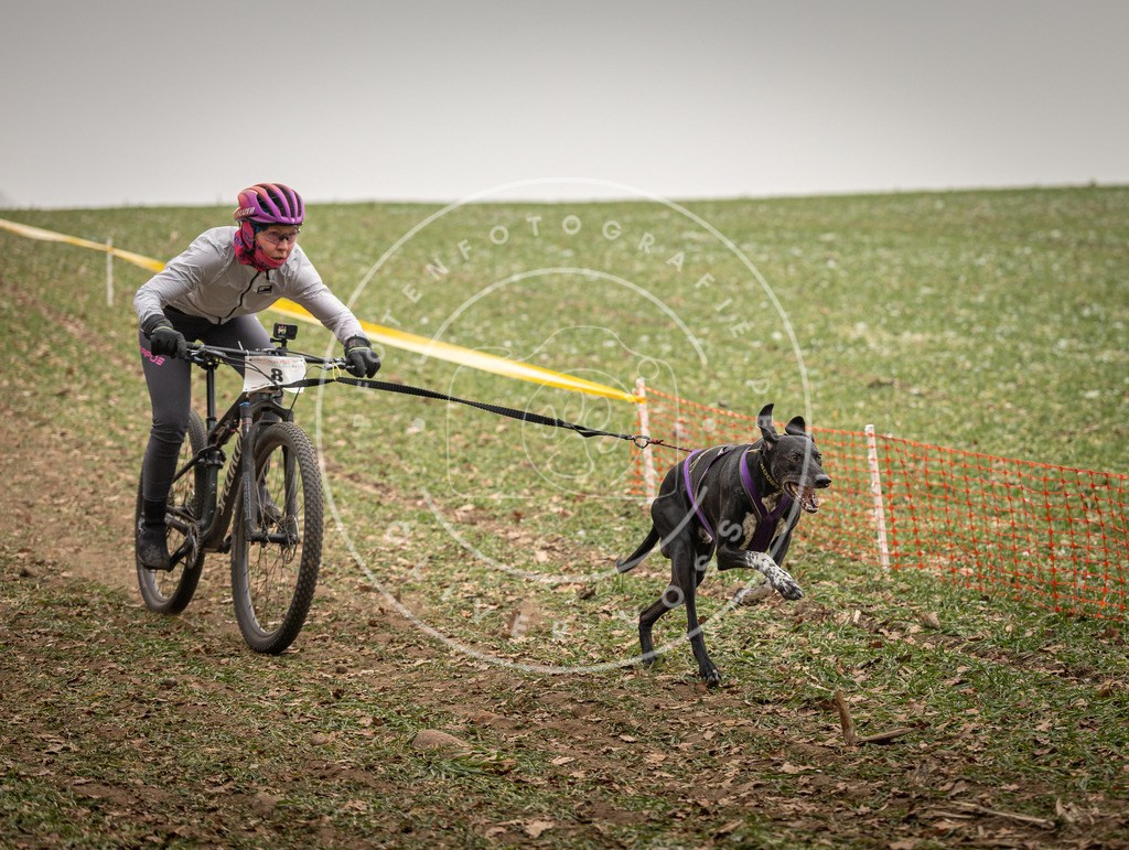 Pfotenfotografie_DV3A3529 | Hundefotografie, Tierfotograf, Pfotenfotografie, Fotoshooting Hund, Hunde Portrait, Hundesport, Hundeportraits, Heideshooting, Hunde, Sportfotograf, Hundefotograf, Turnierhundsport, THS,  - Realisiert mit Pictrs.com