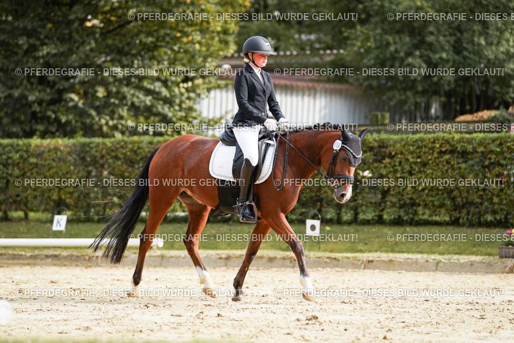 DSC04500 | Pferdegrafie