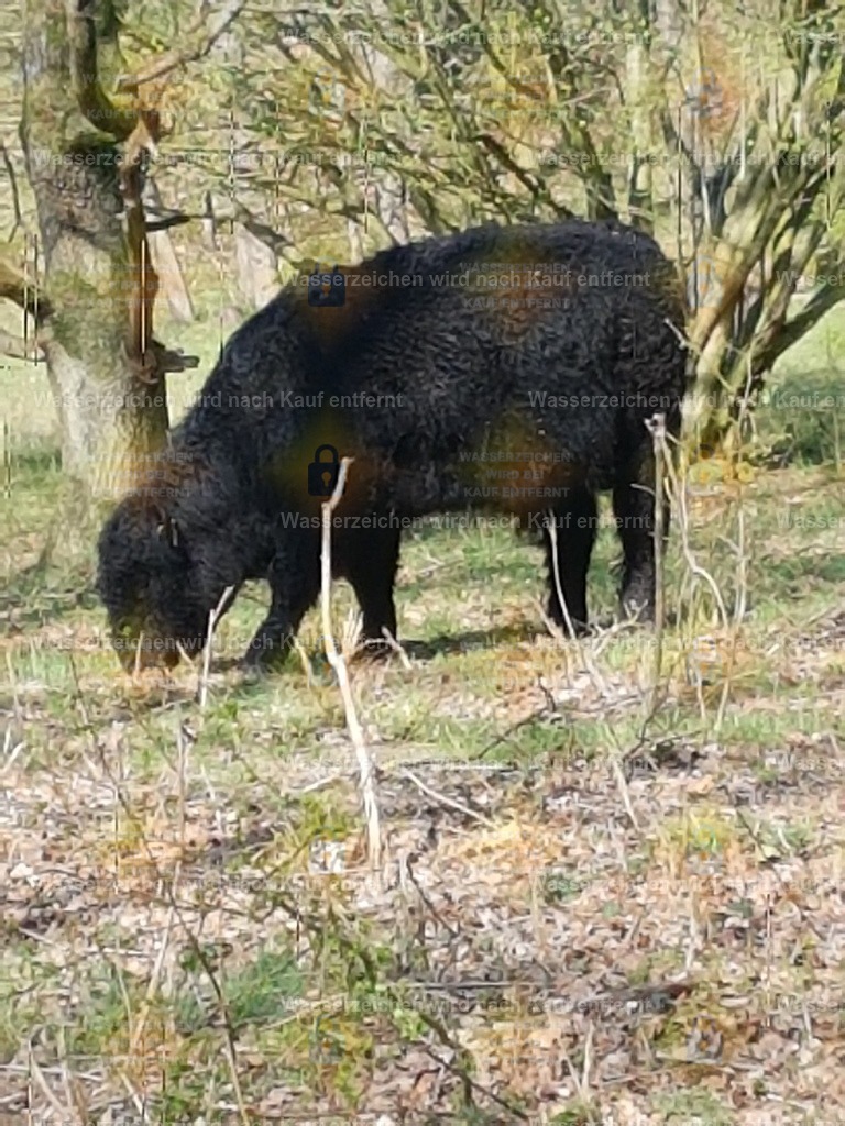20220423_105609 | Fotoseite Wolkenblende - Das Hobby fotografieren begleitet mich schon  viele  Jahre. Auf den nächsten Seiten zeige ich ein paar Schnappschüsse der letzten Jahre und es kommen immer neue hinzu. Schau einfach mal rein. - Realisiert mit Pictrs.com