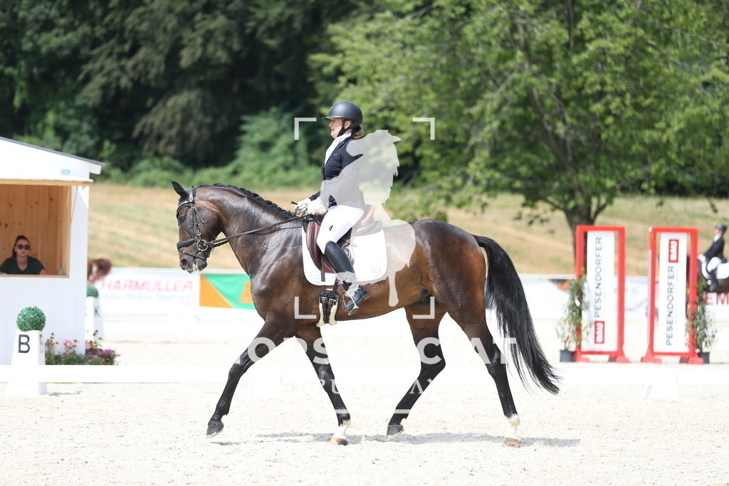 AS8V3436 | Willkommen bei Brunnmayr - Design & Fotografie – Ihrem Spezialisten für Reitturniere und Pferdeveranstaltungen in Oberösterreich, Salzburg und Bayern! Seit über 17 Jahren sind wir leidenschaftlich dabei.