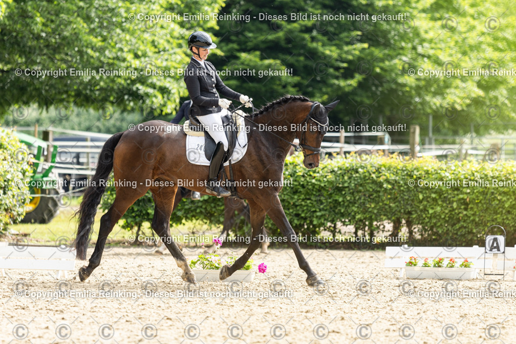 CL5A5735 | Emilia Reinking Fotografie - Realisiert mit Pictrs.com