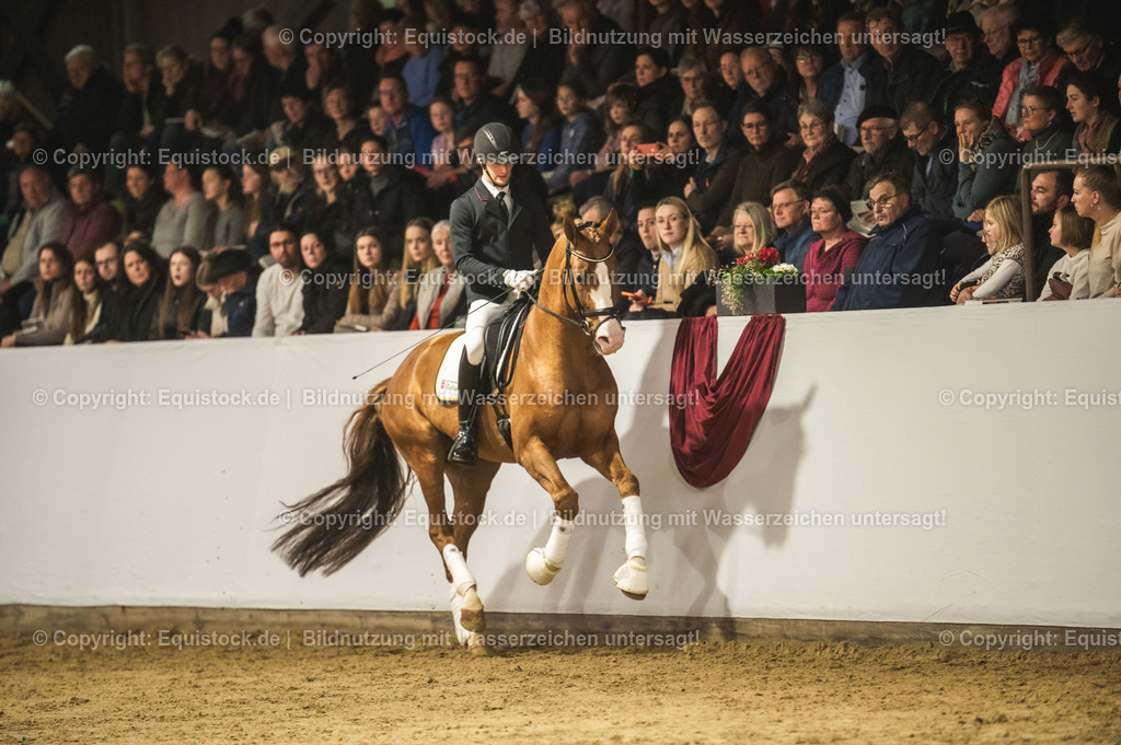 20240302_Hengstvorstellung_Marbach_TOMsPiC_0553 | equistock
