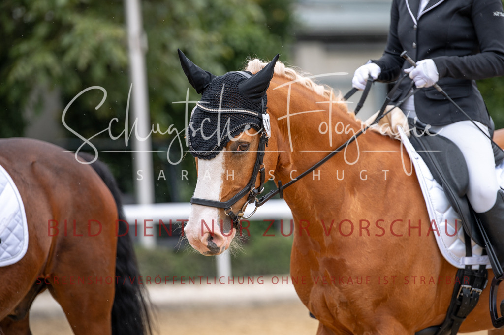 Schugtsche-Aluta25-41.Amat-Dressurprf.A_-425 | Schugtsche Fotografie - Realisiert mit Pictrs.com