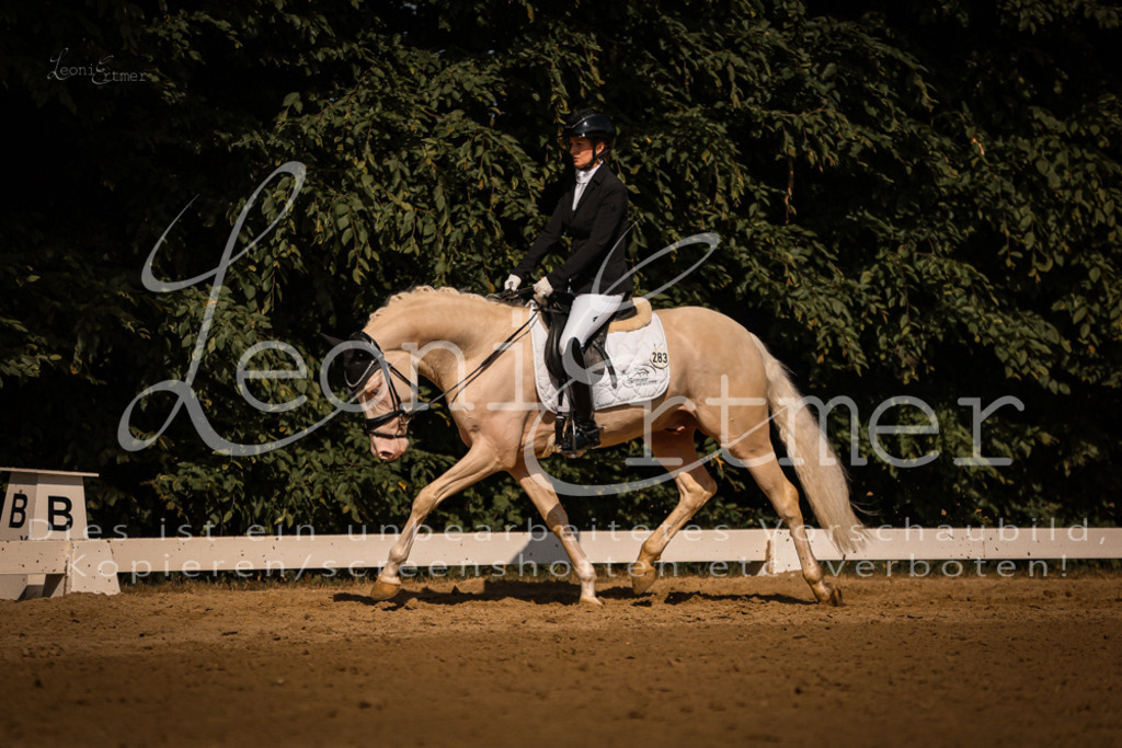 07.FrDrPA00212 | Leoni Ertmer Photography - Realisiert mit Pictrs.com