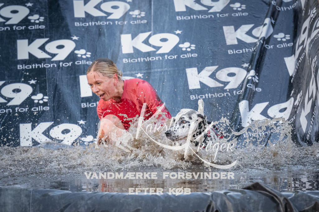 1514_ZZ94289 | kk-dogfotos