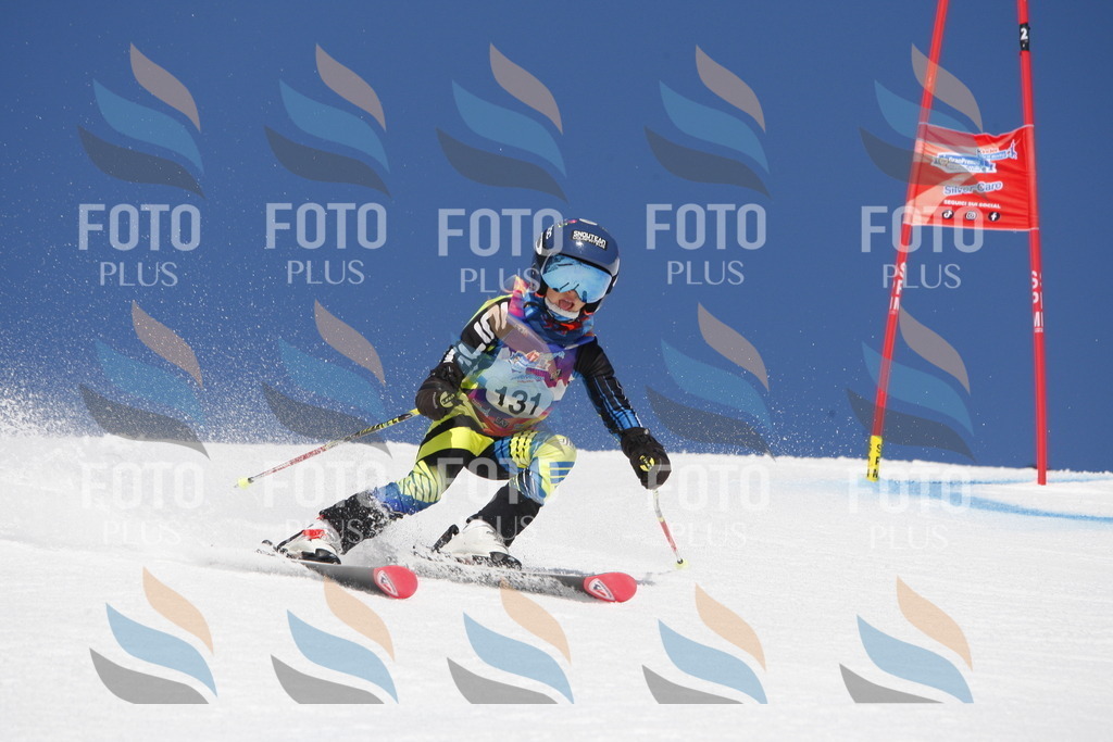 _W1G1974 | holidayphoto