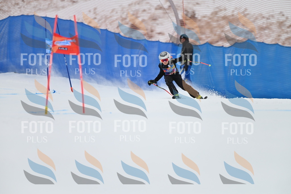 BGV_9626 | holidayphoto