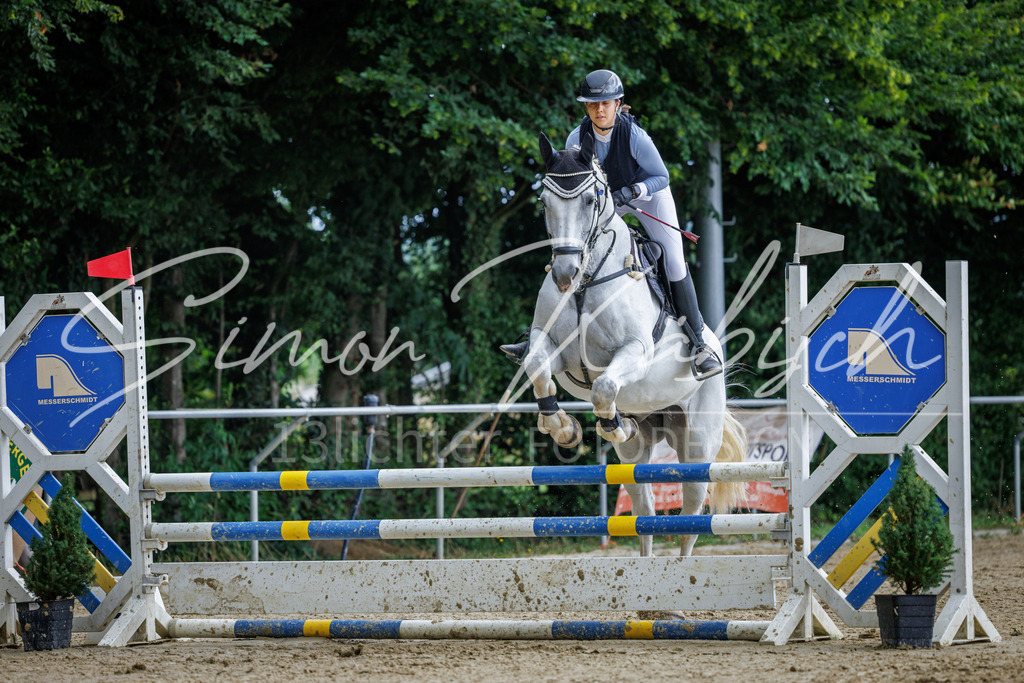 20260705-_3LI4990 | Tierfotografie Pferde, Hunde, Katzen, Haustiere.
Turnierfotografie Reitturniere, Reiten, Springreiten, Dressur in Hanau, dem Main-Kinzig-Kreis und dem Rhein-Main- Gebiet um Frankfurt
