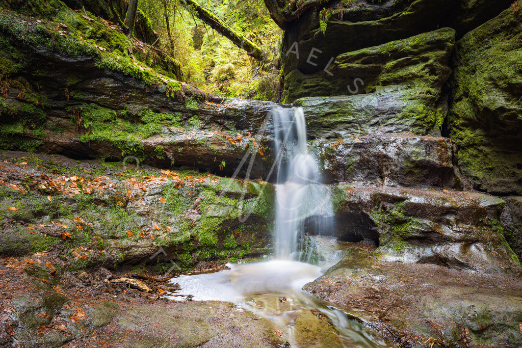 2023-04-15 Saechische Schweiz Schwedenloecher - 008 | Schwotte Media - Realisiert mit Pictrs.com