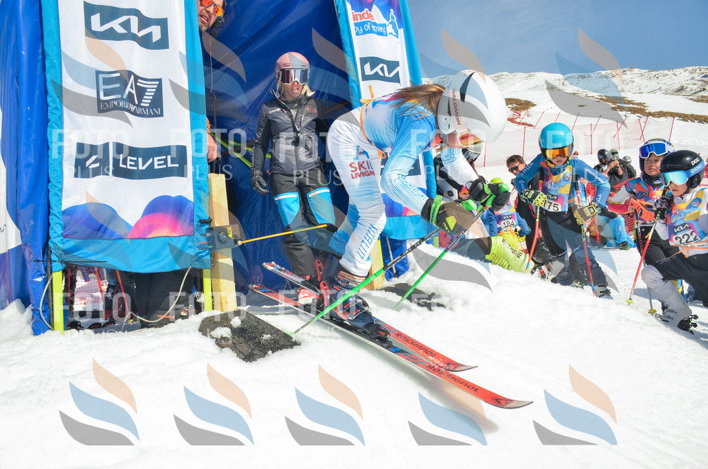 _ELE5732 | holidayphoto