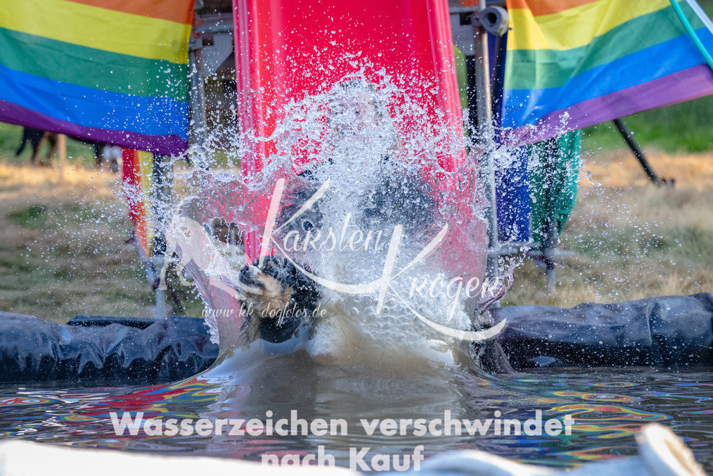 1844_ZZ91496 | kk-dogfotos