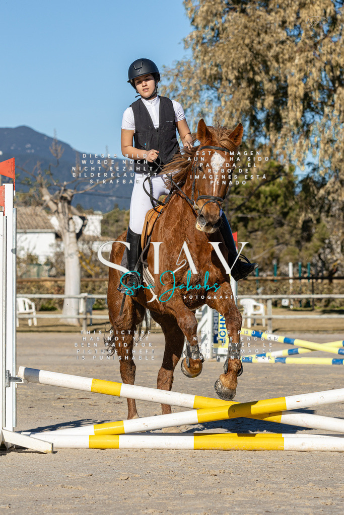 IMG_7917 | s-jay-photography - Realisiert mit Pictrs.com