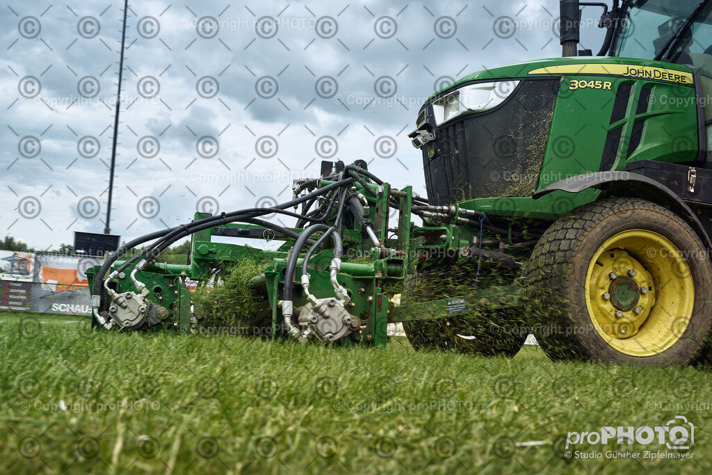 202507_Rernböck-Rasen_NZ9_1471 | proPHOTO - Realisiert mit Pictrs.com