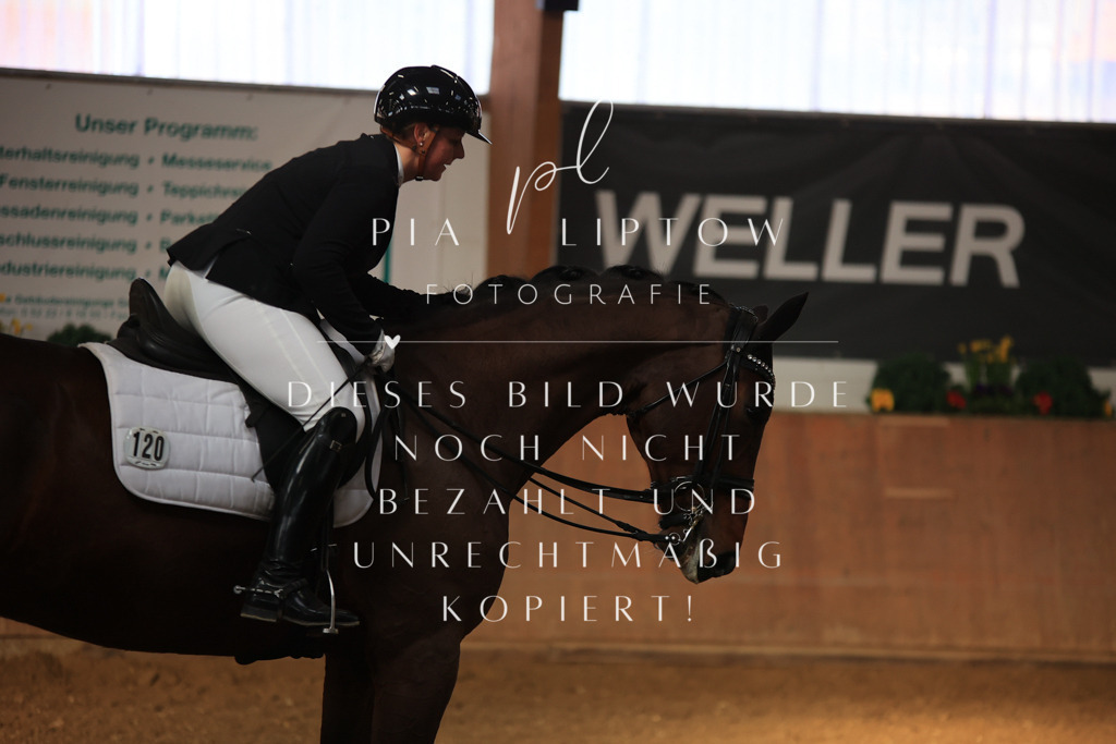 IMGT1403 | pl-fotografie