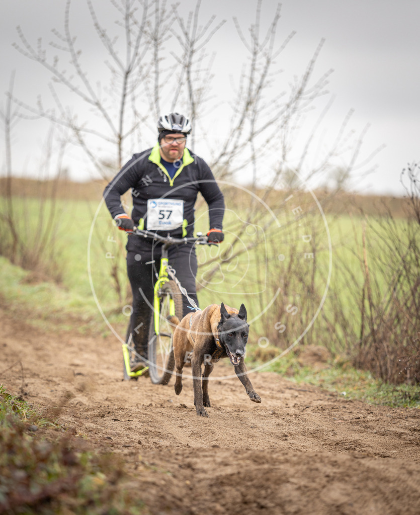 DV3A9300 | Hundefotografie, Tierfotograf, Pfotenfotografie, Fotoshooting Hund, Hunde Portrait, Hundesport, Hundeportraits, Heideshooting, Hunde, Sportfotograf, Hundefotograf, Turnierhundsport, THS,  - Realisiert mit Pictrs.com