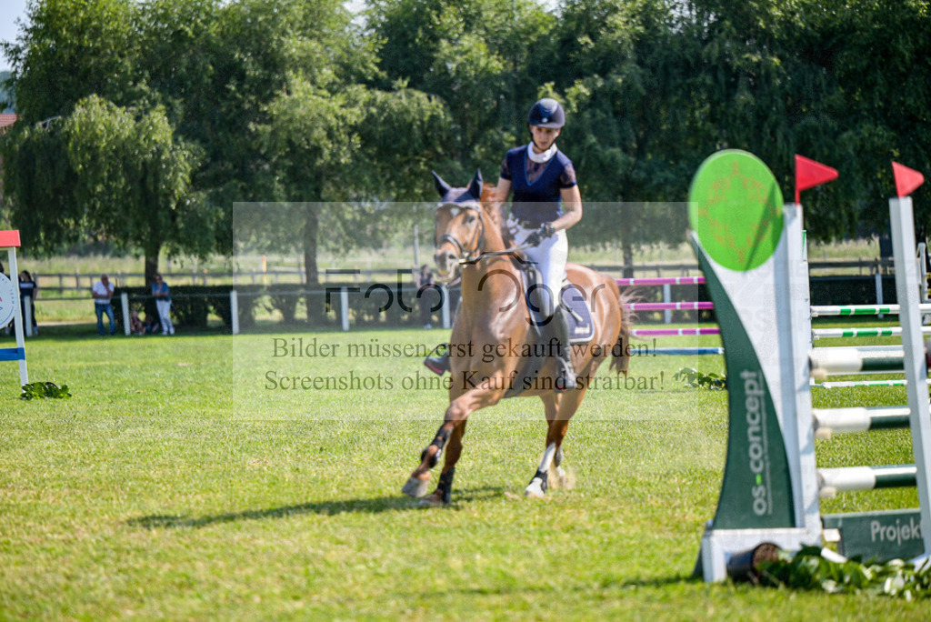 Reitturnier Voxtrup | Entdecke hochwertige Reitturnierfotos von Foto Oger. Professionell, emotional und authentisch – jetzt Lieblingsmomente im Shop bestellen. - Realisiert mit Pictrs.com