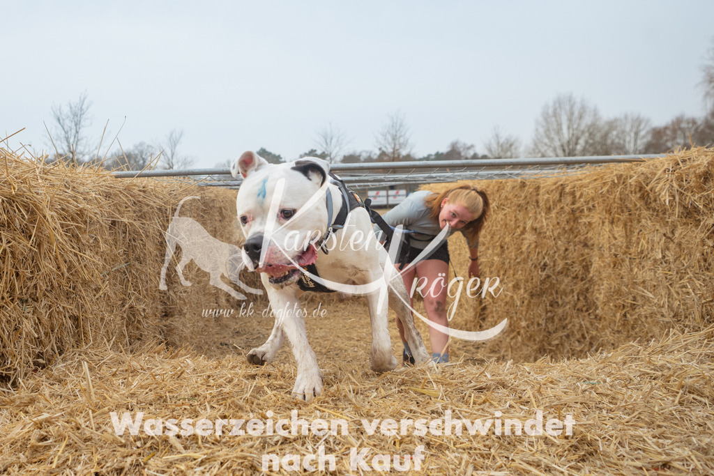 1000_ZZ91573 | kk-dogfotos