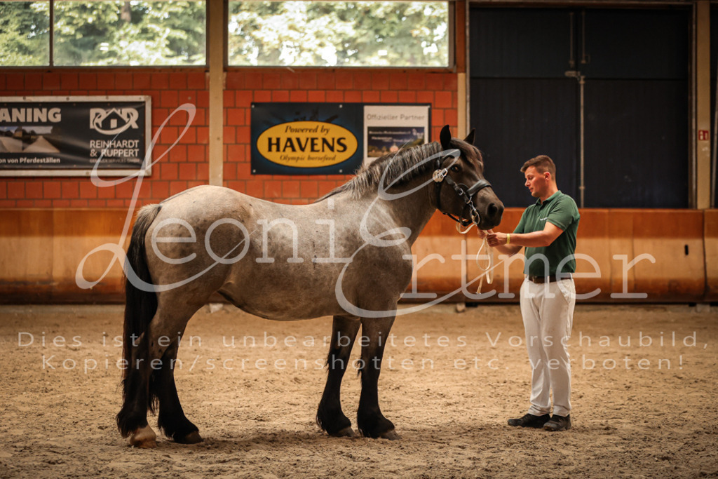 SaFL00325 | Leoni Ertmer Photography - Realisiert mit Pictrs.com