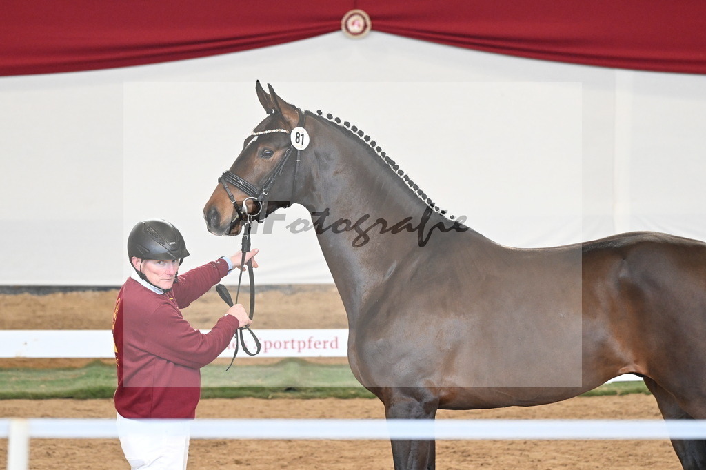 Kat.-Nr. 81 v. Va Bene_Greim_3261134 | hf-fotografie - Realizzato con Pictrs.com