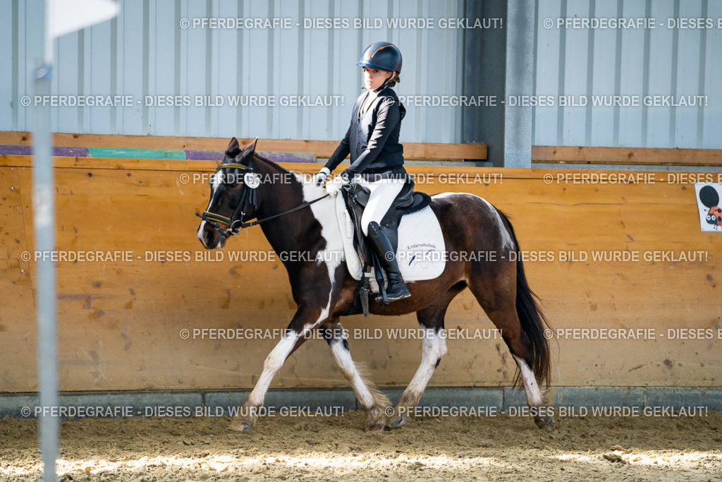 DSC01919 | Pferdegrafie