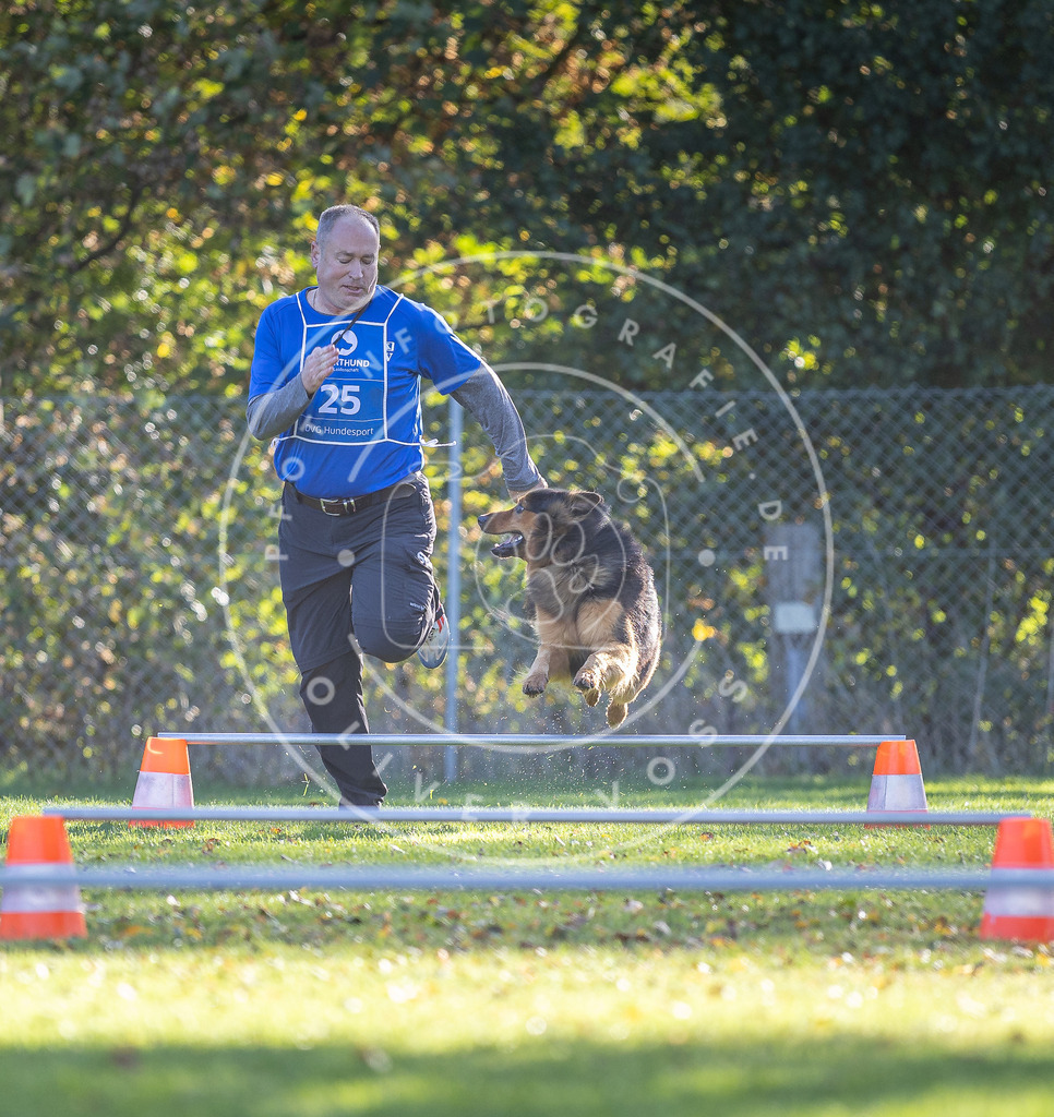 Pfotenfotografie.de_DV3A3063 | Hundefotografie, Tierfotograf, Pfotenfotografie, Fotoshooting Hund, Hunde Portrait, Hundesport, Hundeportraits, Heideshooting, Hunde, Sportfotograf, Hundefotograf, Turnierhundsport, THS, canicross - Realisiert mit Pictrs.com