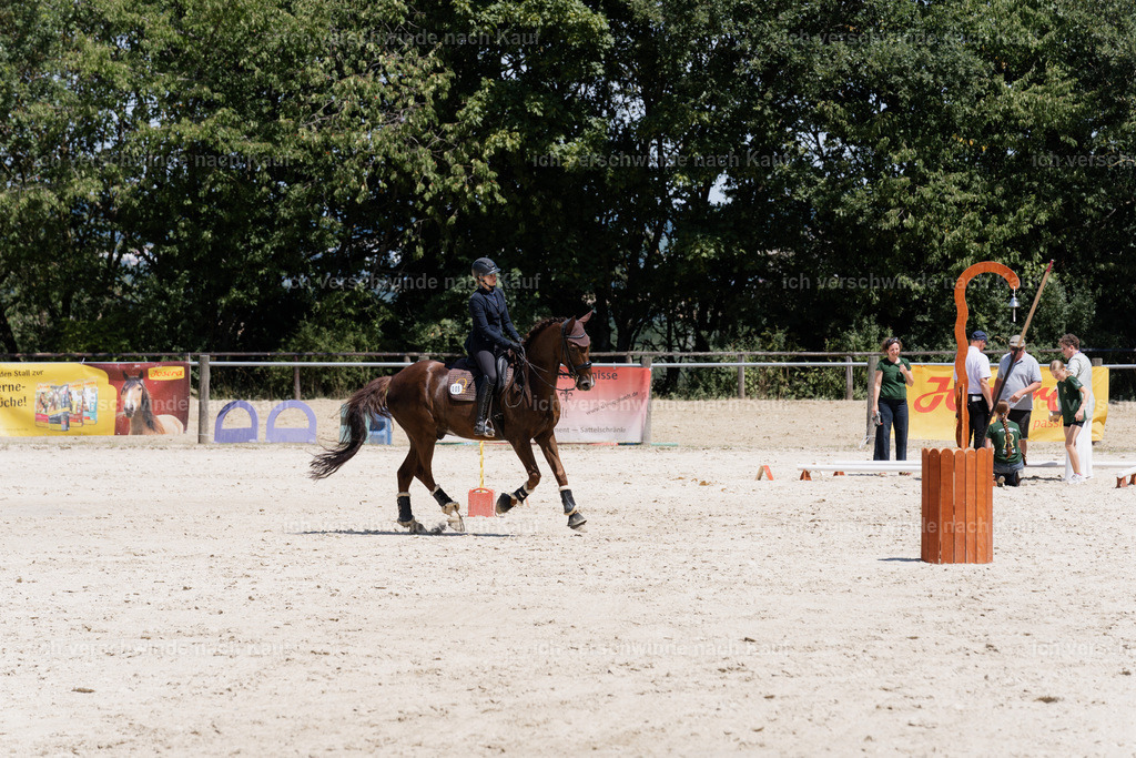WM_SP_5_SinaFilmArt_IN07488 | working equitationturnier fotograf videograf stoibphotography marixx film working equitation deutschland reitsport turnierfotografie eventfotografie equestrian events