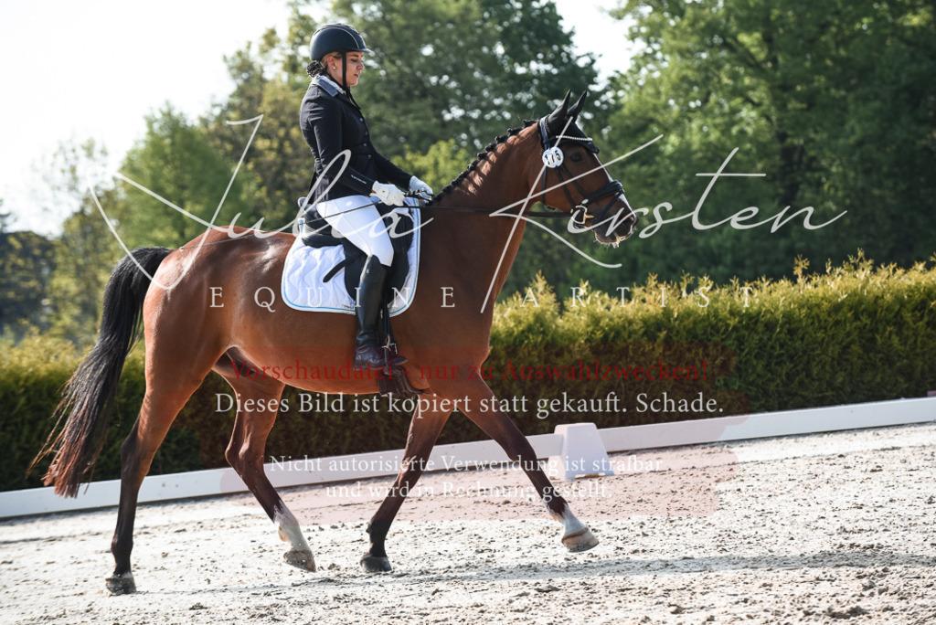 20230518_JK-Röhrsdorf-09-0884 | Pferde- und Turnierfotografie in Westsachsen. Pferdeportraits, Auftragszeichnungen und intuitive Kunst.