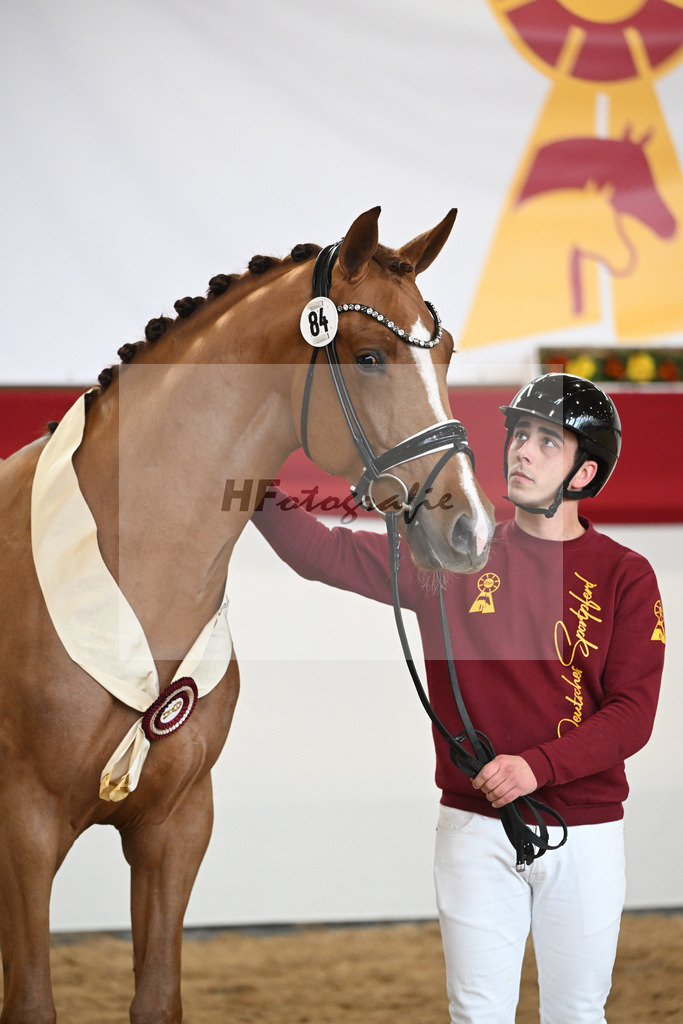 Kat.-Nr. 84 v. Vaderland_van den Oetelaar_2251966 | hf-fotografie - Realisiert mit Pictrs.com