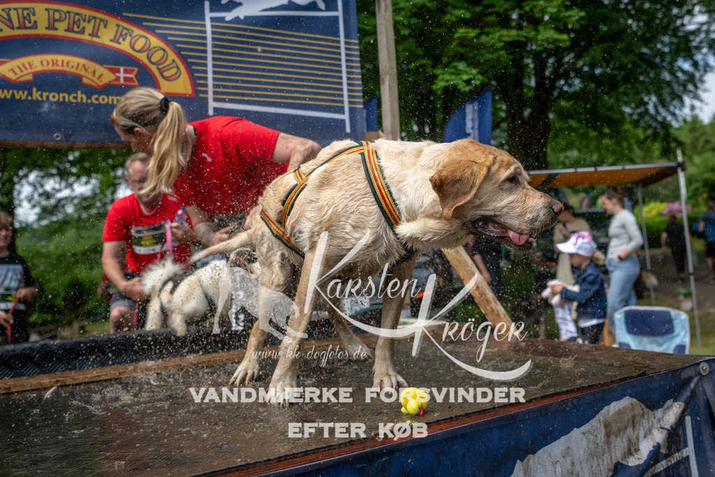 1113_ZZ93141 | kk-dogfotos
