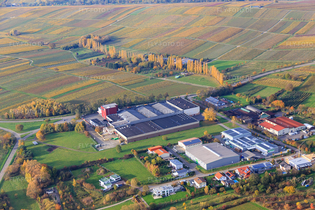 Luftbild: Großkelterei Kleine Kalmit in Ilbesheim bei Landau im Bundesland Rheinland-Pfalz in Deutschland. Foto: IMG_076330.jpg vom 09.11.2014 durch Werner Riehm/FLY-FOTO.deweintor.de: Deutsches Weintor