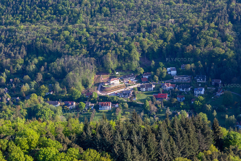 Luftbild: Slevogtstraße in Leinsweiler im Bundesland Rheinland-Pfalz in Deutschland. Foto: IMG_131236.jpg vom 07.05.2022 durch Werner Riehm/FLY-FOTO.deLeinsweiler - wo die Pfalz am schönsten ist