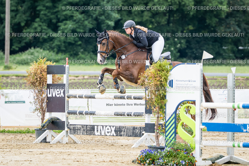 DSC04363 | Pferdegrafie