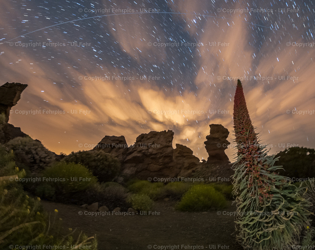 Tajinaste and Roque Cinchado, Tenerife | Fehrpics - hochwertige Fotoprodukte rund um Landschaft, Natur, Sterne & Milchstraße. - Realisiert mit Pictrs.com