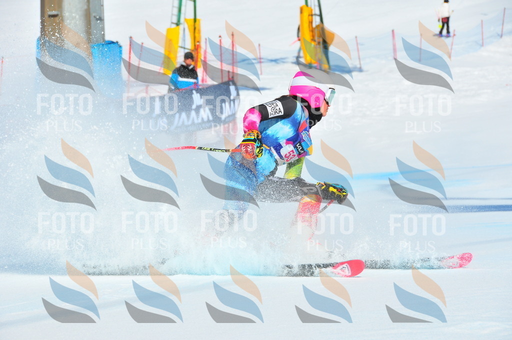 DSC_4120 | holidayphoto