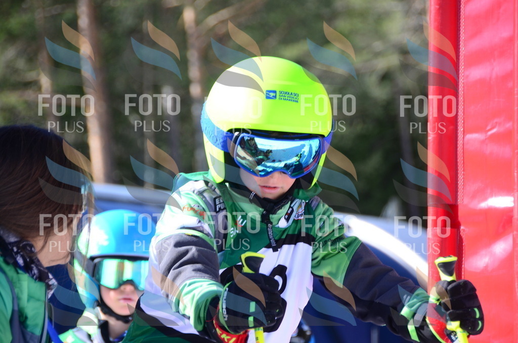 C5600 | holidayphoto