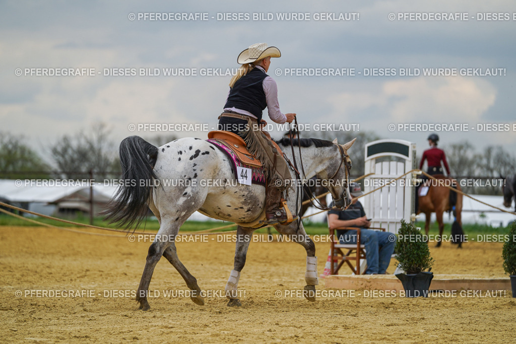 DSC07049 | Pferdegrafie