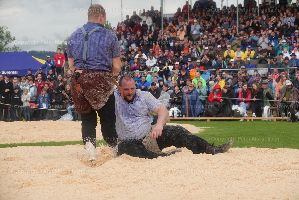 DSC03950 | Schwingen - Realisiert mit Pictrs.com