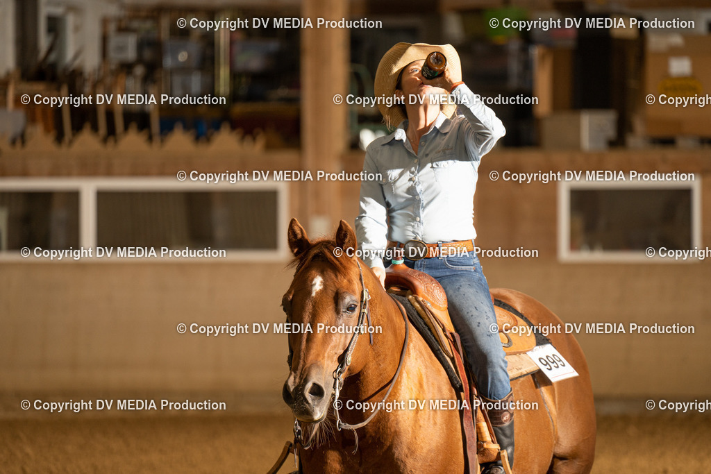 LAU00048 | dv-media-shop - Realisiert mit Pictrs.com