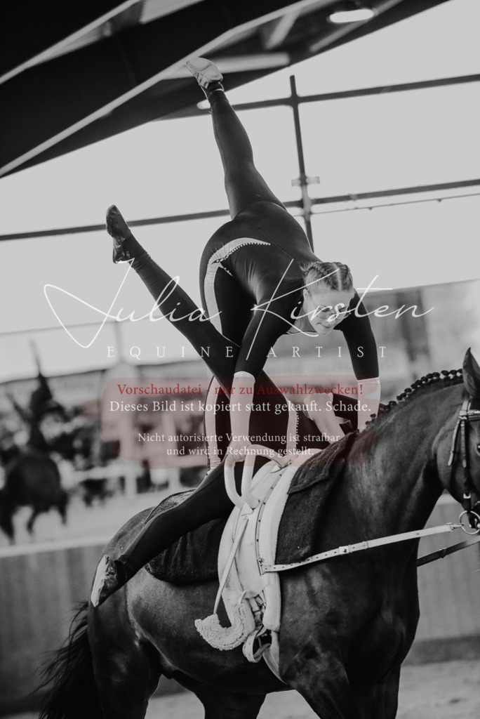 DSC_6902 | Pferde- und Turnierfotografie in Westsachsen. Pferdeportraits, Auftragszeichnungen und intuitive Kunst.