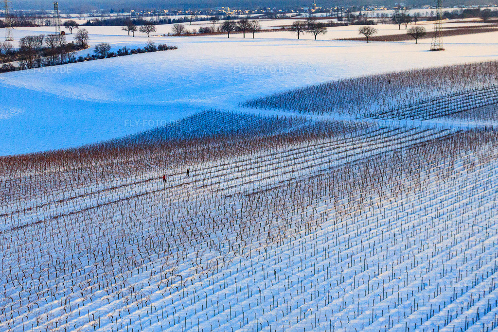 Luftbild: Winterarbeit in den Weinreben bei Schnee in Dierbach im Bundesland Rheinland-Pfalz in Deutschland. Foto: IMG_36488.jpg vom 03.01.2011 durch Werner Riehm/FLY-FOTO.de