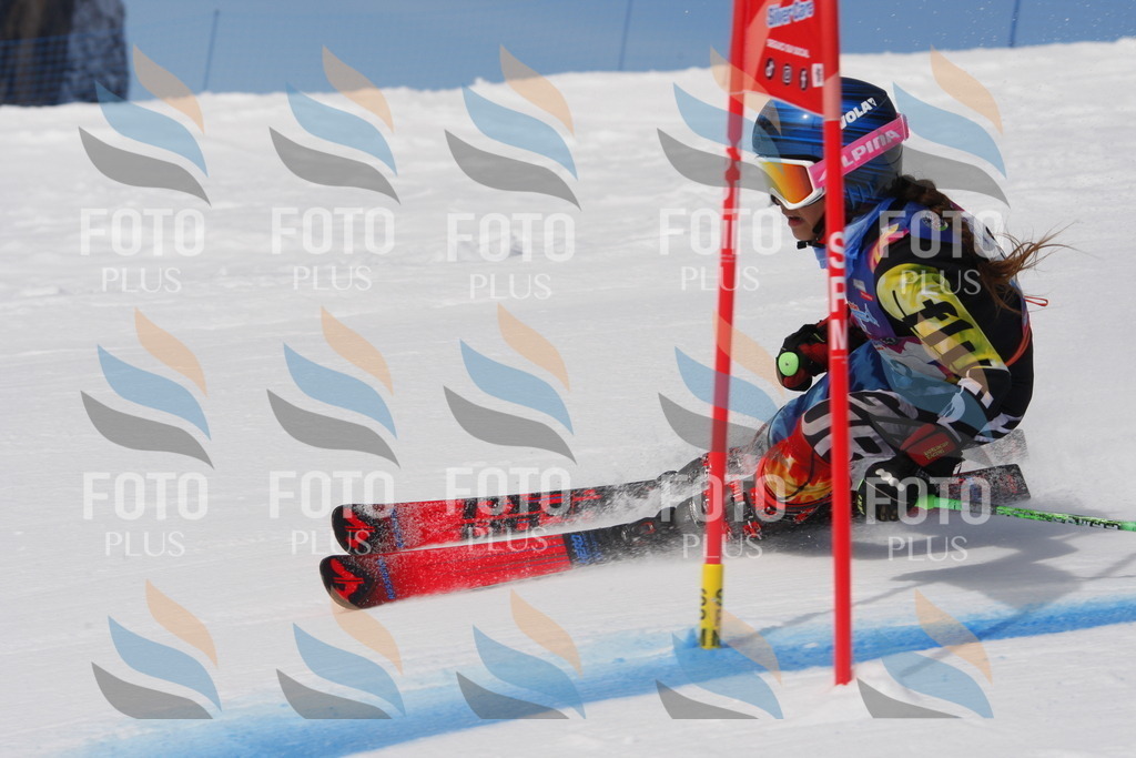 _W1G0437 | holidayphoto