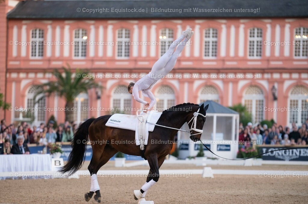 20230527_Voltigieren_NASPA_Flutlicht_0165 | equistock