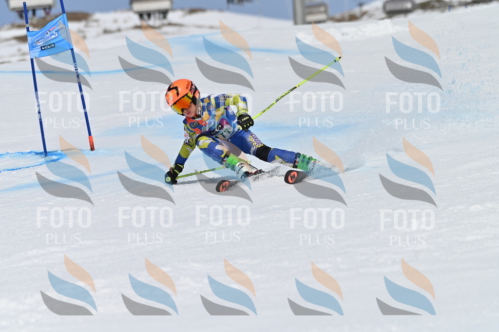 BGV_3384 | holidayphoto