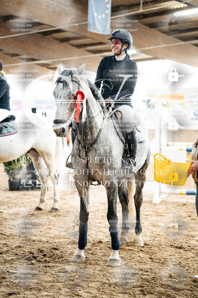 CK703016 | Turnierfotografie Pferdefotografie Trier Rheinland-Pfalz Pferdesport Reitsport Tierfotografie Sportfotografie Pferdevideo Pferdevideografie Equestrianvideography equestrianphotography  - Realized with Pictrs.com