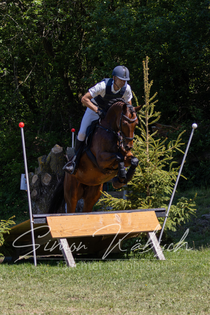 MBFotografie (3) | Tierfotografie Pferde, Hunde, Katzen, Haustiere.
Turnierfotografie Reitturniere, Reiten, Springreiten, Dressur in Hanau, dem Main-Kinzig-Kreis und dem Rhein-Main- Gebiet um Frankfurt