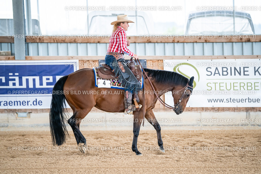 DSC08834 | Pferdegrafie