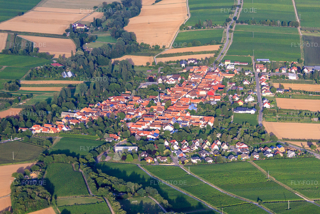Luftbild: Winzerort von Westen im Ortsteil Heuchelheim in Heuchelheim-Klingen im Bundesland Rheinland-Pfalz in Deutschland. Foto: IMG_51327.jpg vom 04.08.2012 durch Werner Riehm/FLY-FOTO.de