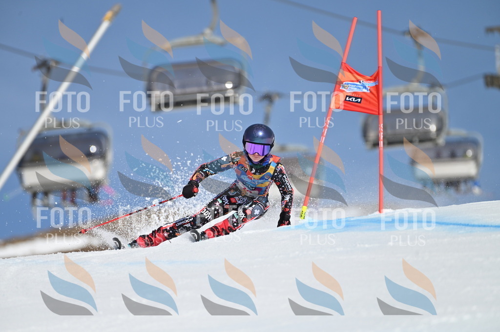 BGV_8952 | holidayphoto